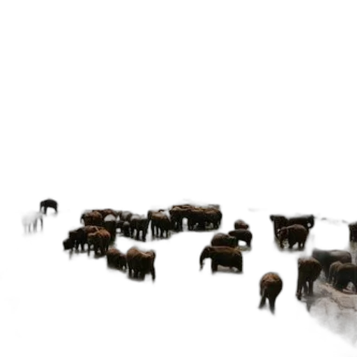 animal, furniture, jewelry, 3d render transparent PNG cut-out