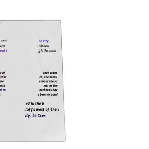 text-based, image, white, background transparent PNG cut-out