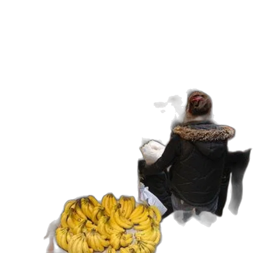 food, crown, jacket, robot transparent PNG cut-out