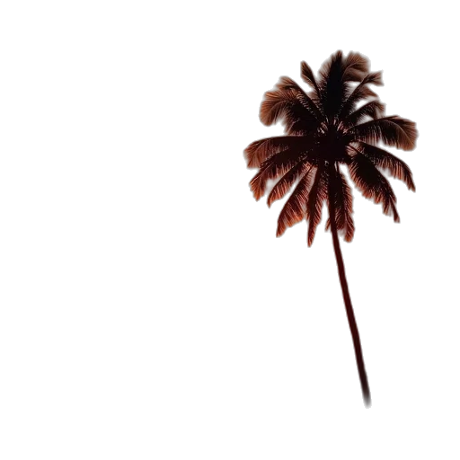 hair, flower, staff, tree transparent PNG cut-out