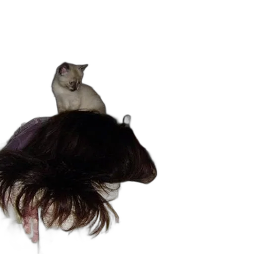 hair, hat, animal, staff transparent PNG cut-out