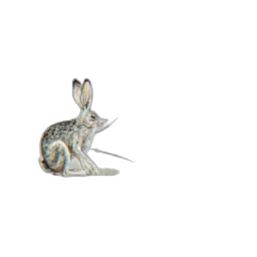 animal, creature, jewelry, weapon transparent PNG cut-out