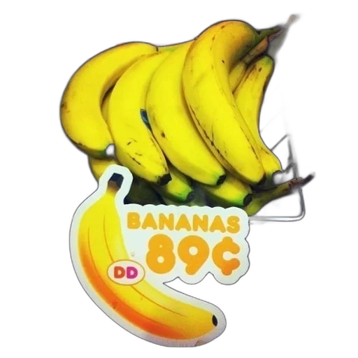 food, animal, weapon, 3d render transparent PNG cut-out