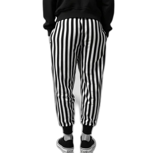 jacket, staff, shoes, animal transparent PNG cut-out