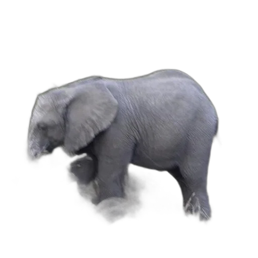 animal, creature, staff, robot transparent PNG cut-out