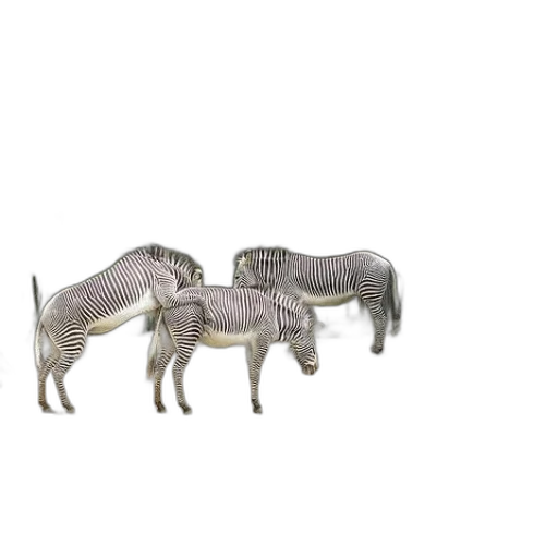 furniture, animal, jewelry, dragon transparent PNG cut-out