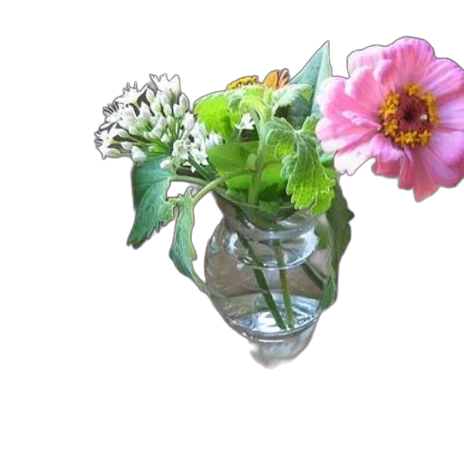 flower, crown, bottle, jewelry transparent PNG cut-out