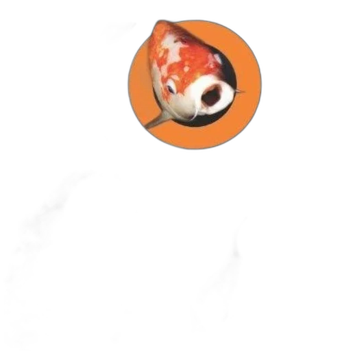 animal, creature, staff, face transparent PNG cut-out