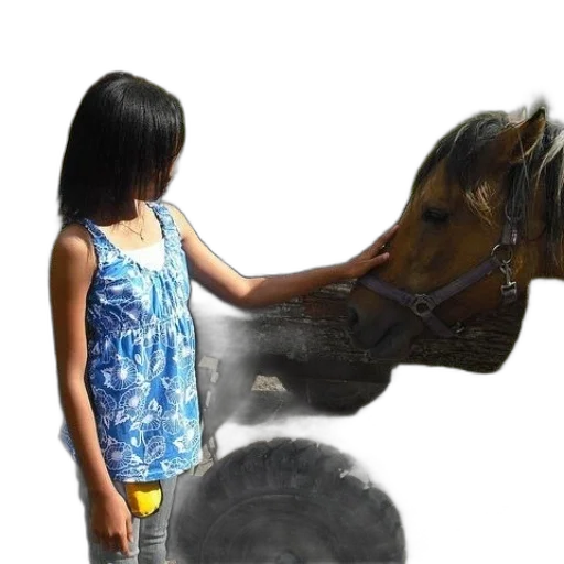 animal, dress, creature, jewelry transparent PNG cut-out