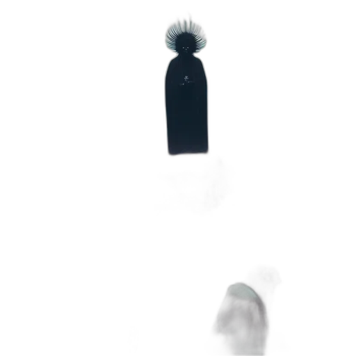 dress, hat, bottle, mask transparent PNG cut-out