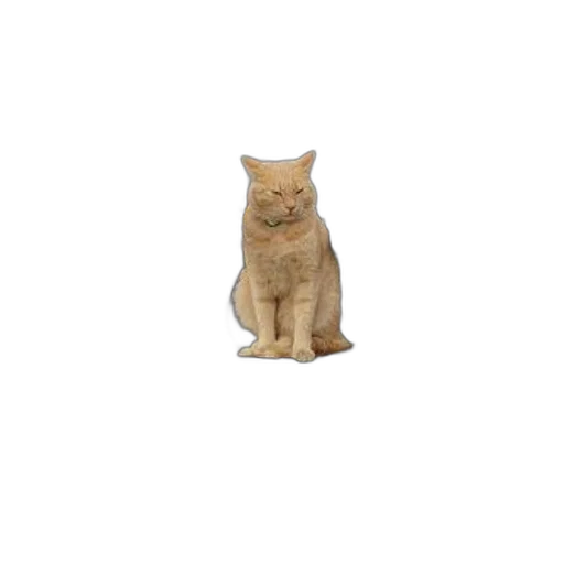 animal, staff, creature, robot transparent PNG cut-out