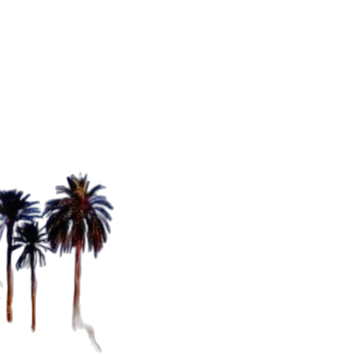 umbrella, hair, tree, staff transparent PNG cut-out