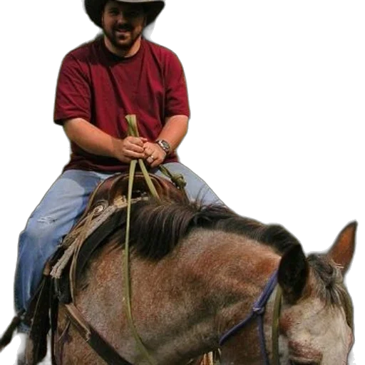 animal, staff, hat, weapon transparent PNG cut-out