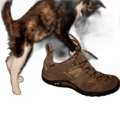 shoes, animal, creature, weapon transparent PNG cut-out