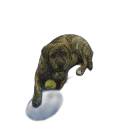 animal, staff, creature, weapon transparent PNG cut-out