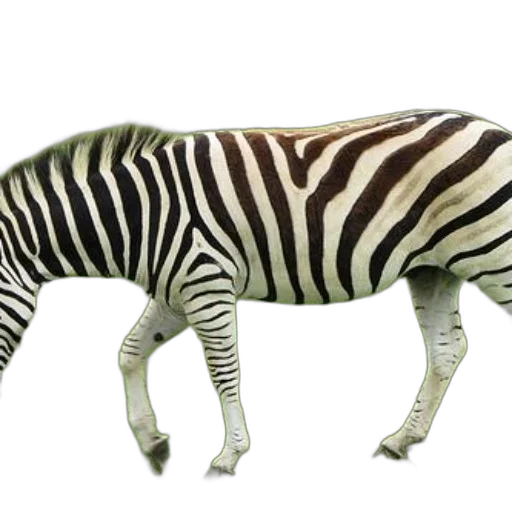 animal, creature, staff, weapon transparent PNG cut-out
