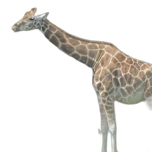 animal, creature, staff, weapon transparent PNG cut-out
