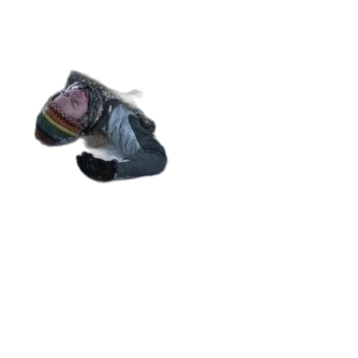 hat, shoes, creature, animal transparent PNG cut-out