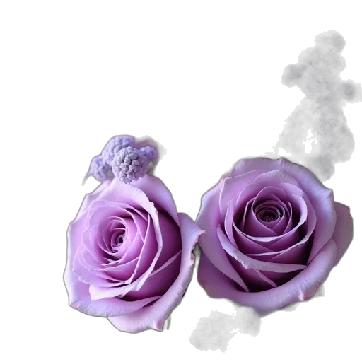 flower, jewelry, crown, staff transparent PNG cut-out