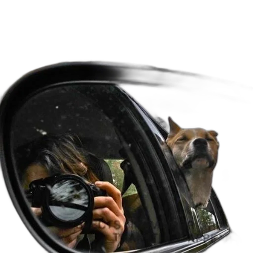 car, animal, face, mask transparent PNG cut-out