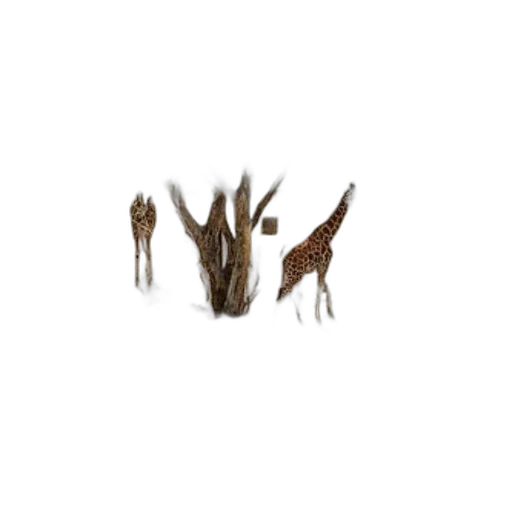 animal, creature, staff, hair transparent PNG cut-out