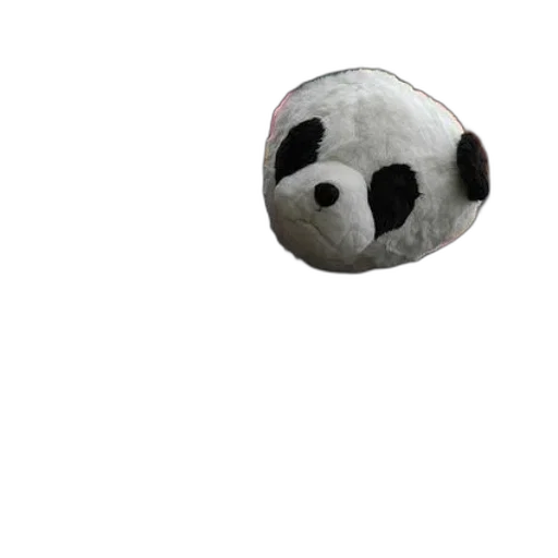 mask, creature, face, animal transparent PNG cut-out