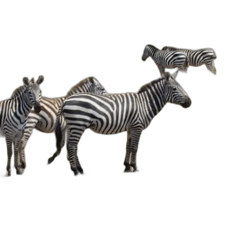 animal, jewelry, furniture, 3d render transparent PNG cut-out