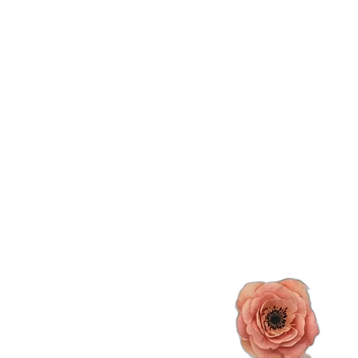 flower, jewelry, dress, crown transparent PNG cut-out
