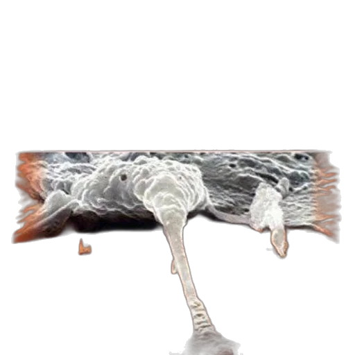furniture, sword, hair, weapon transparent PNG cut-out
