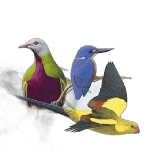 staff, animal, jewelry, concept art transparent PNG cut-out