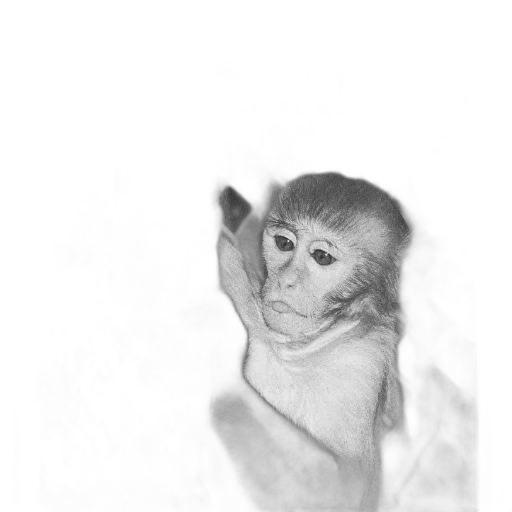 animal, creature, mask, face transparent PNG cut-out