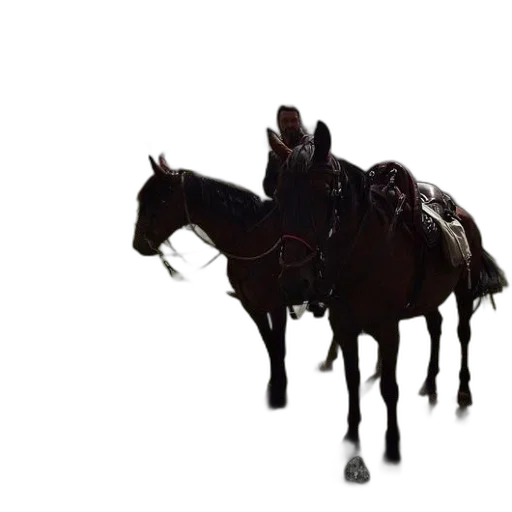 animal, crown, hat, weapon transparent PNG cut-out