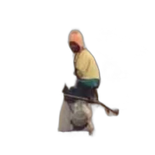 staff, hat, animal, weapon transparent PNG cut-out