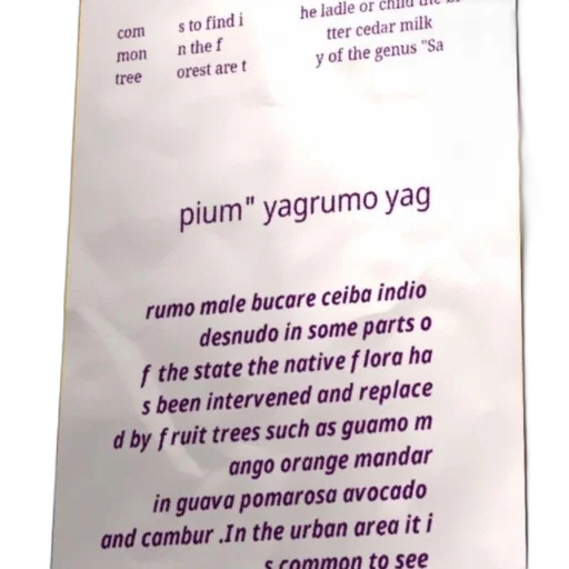 bottle, food, poster, text transparent PNG cut-out