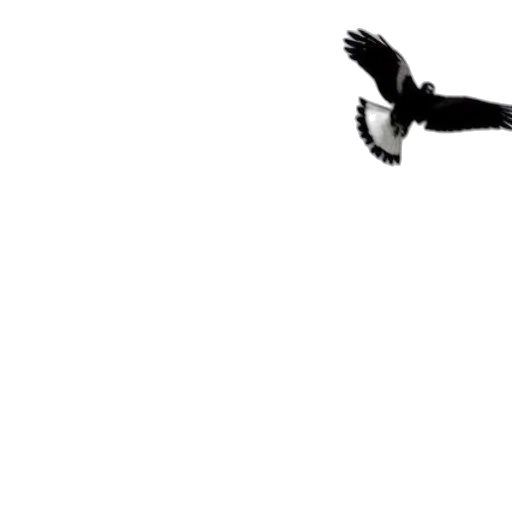 animal, creature, dragon, staff transparent PNG cut-out