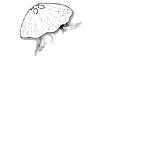 hat, creature, animal, mask transparent PNG cut-out