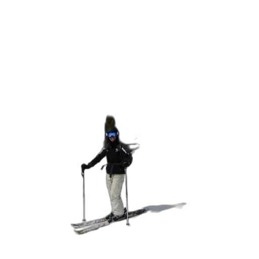 staff, robot, sword, animal transparent PNG cut-out