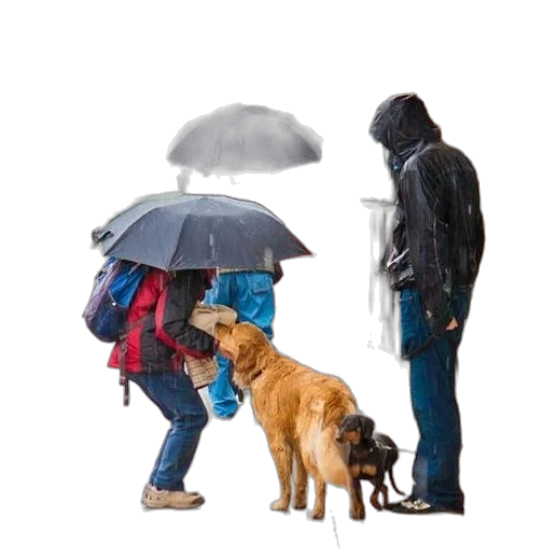 umbrella, jacket, animal, photorealistic transparent PNG cut-out