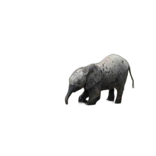 animal, creature, weapon, furniture transparent PNG cut-out