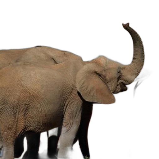 animal, creature, staff, 3d render transparent PNG cut-out