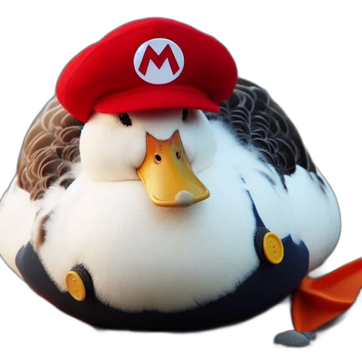 hat, animal, crown, creature transparent PNG cut-out