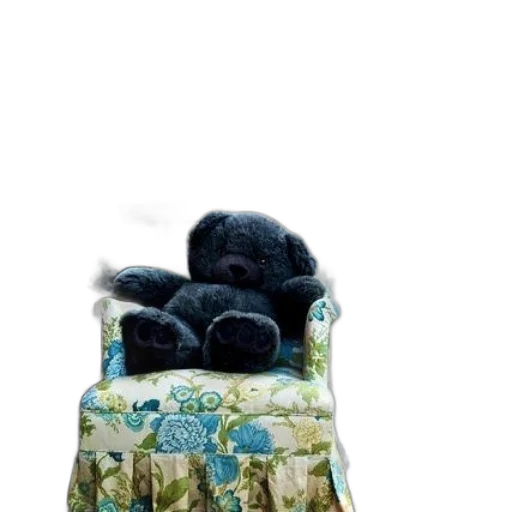 furniture, shoes, animal, jacket transparent PNG cut-out