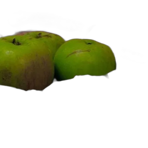 food, crown, furniture, tree transparent PNG cut-out