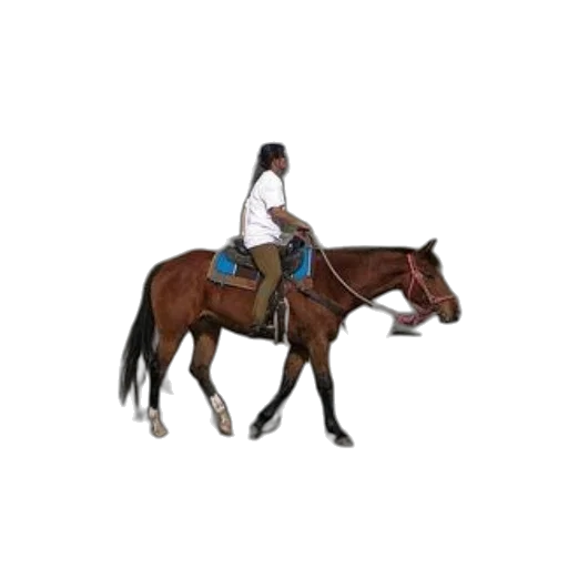 staff, animal, hat, jacket transparent PNG cut-out