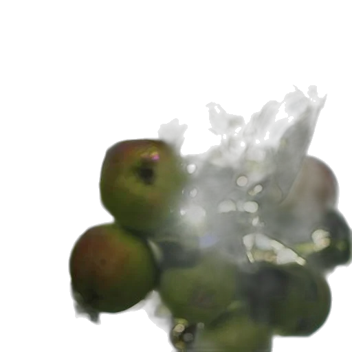 flower, crown, food, weapon transparent PNG cut-out