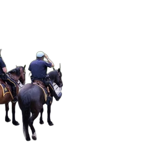 hat, staff, animal, weapon transparent PNG cut-out