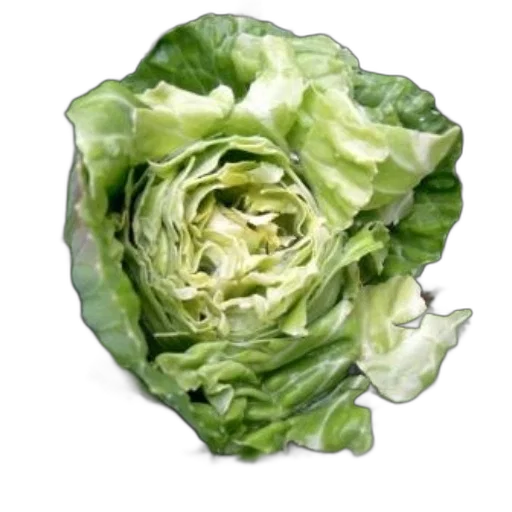 food, crown, flower, face transparent PNG cut-out