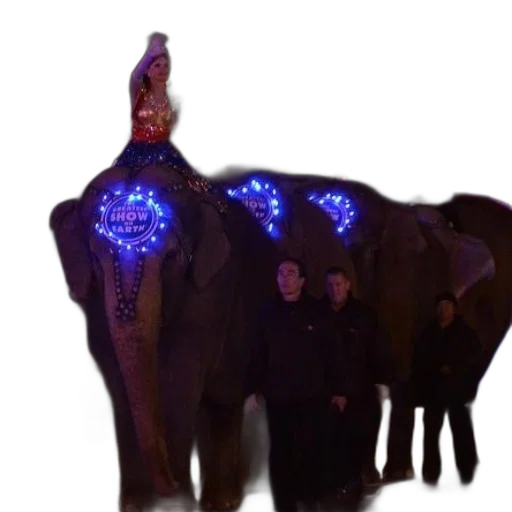 animal, staff, jacket, creature transparent PNG cut-out