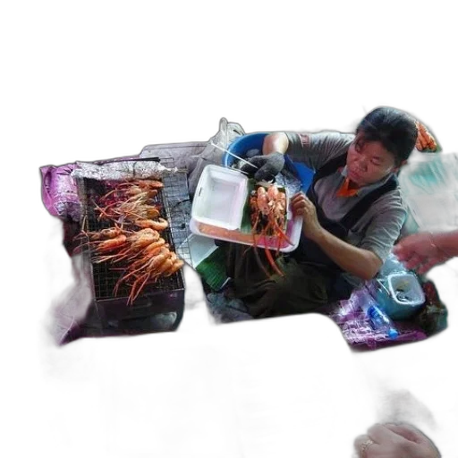 creature, food, animal, weapon transparent PNG cut-out