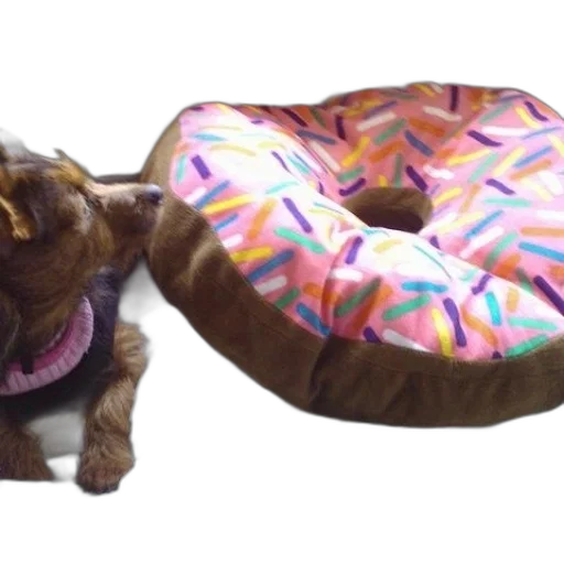 food, animal, 3d render, dog transparent PNG cut-out